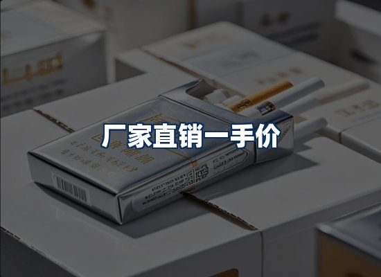 专业团队办公环境